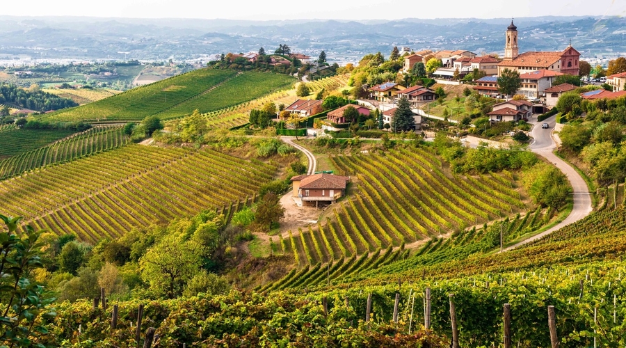 Wine Owners Piedmont hills
