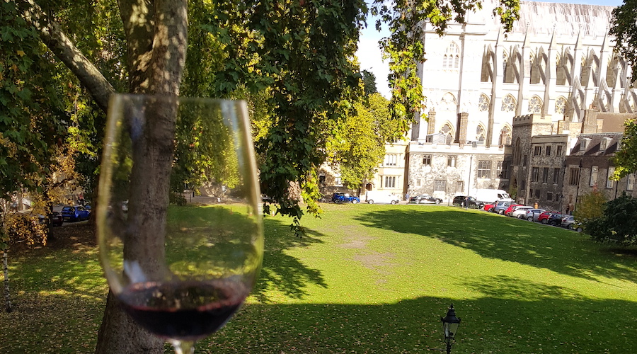 A glass of wine with a garden in the background